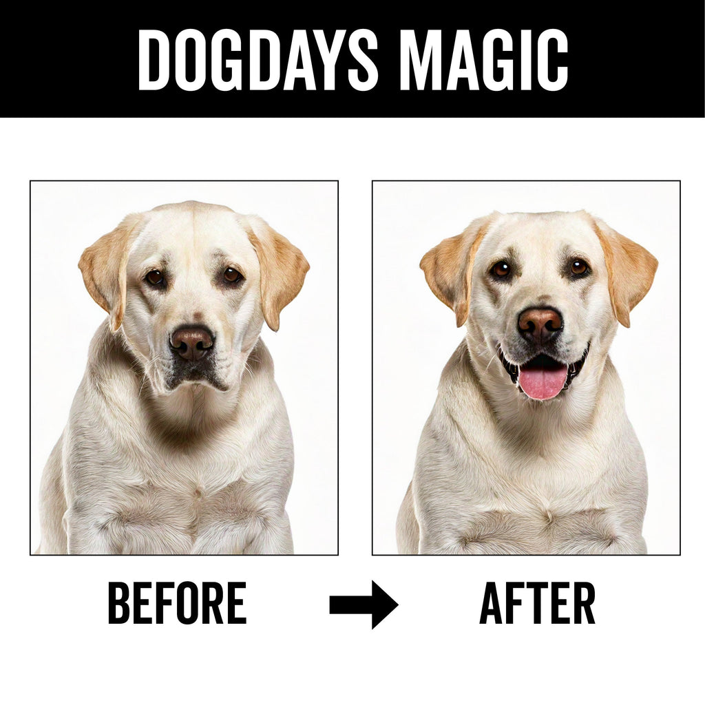DOGDAYS Dog Deodorizing Spray – Pride+Groom