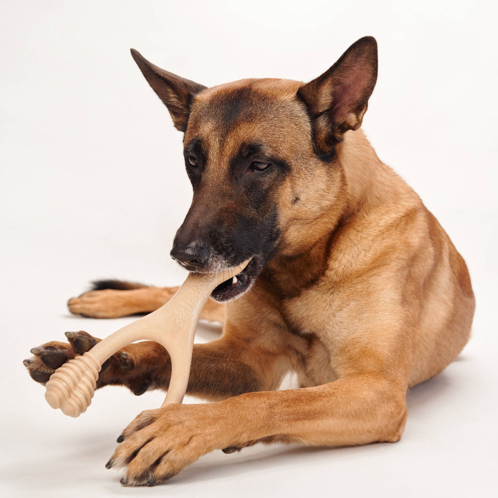 BetterBone MEDIUM Dog Chew Toy – Natural, Eco?Friendly & Non?Toxic – Dog Toys | Doggo Dream Shop