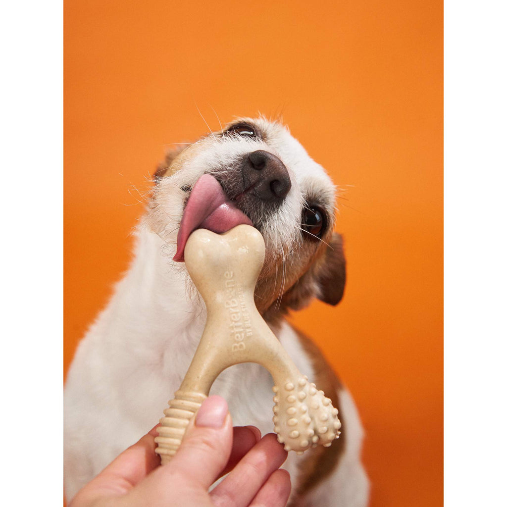 BetterBone HARD Dog Chew Toy – Natural, Eco?Friendly & Ultra?Durable – Dog Toys | Doggo Dream Shop