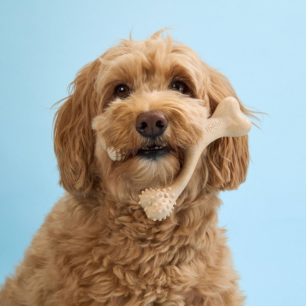 BetterBone SOFT Dog Chew Toy – Natural, Gentle & Perfect for Puppies, Seniors & Light Chewers – Dog Toys | Doggo Dream Shop