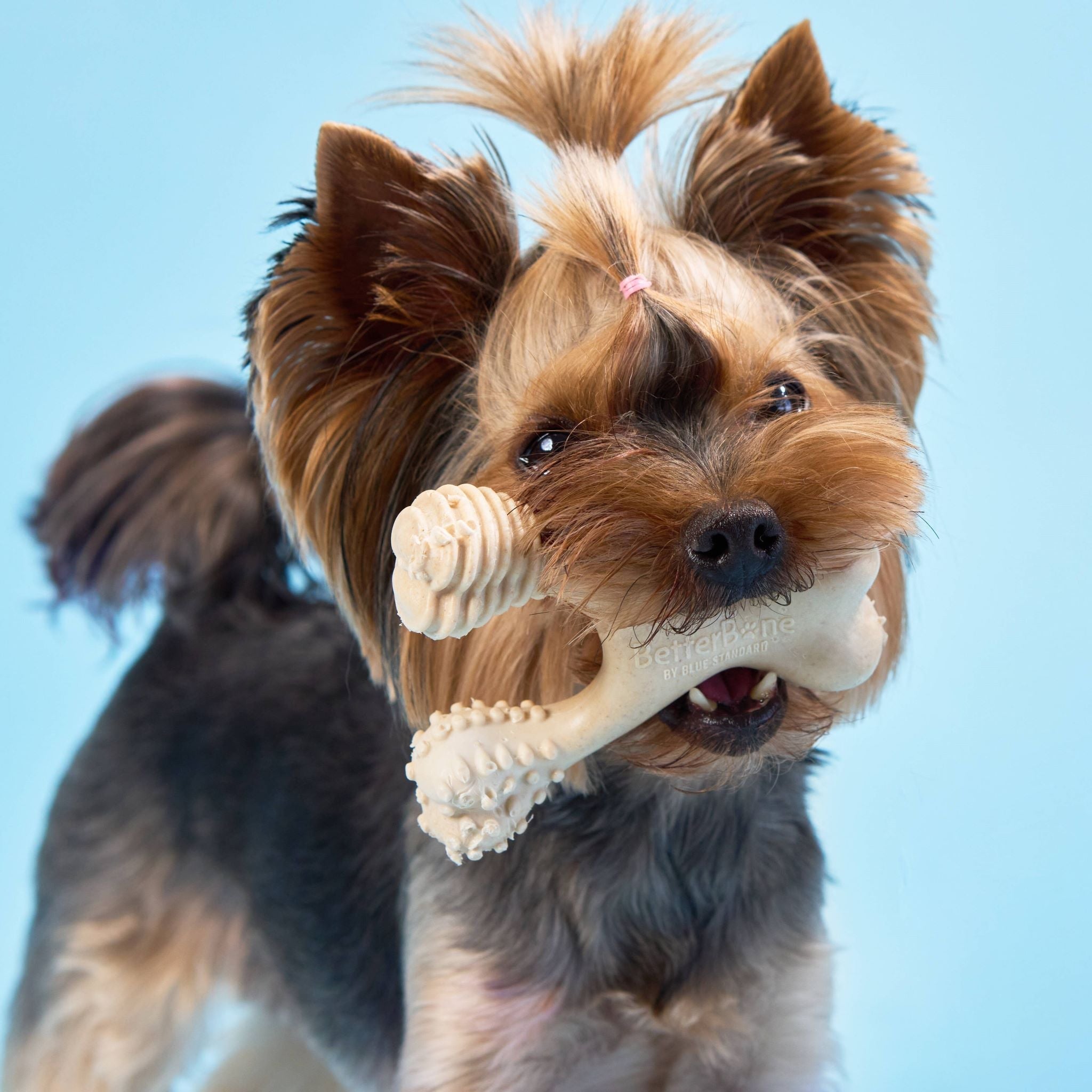 BetterBone SOFT Dog Chew Toy – Natural, Gentle & Perfect for Puppies, Seniors & Light Chewers – Dog Toys | Doggo Dream Shop