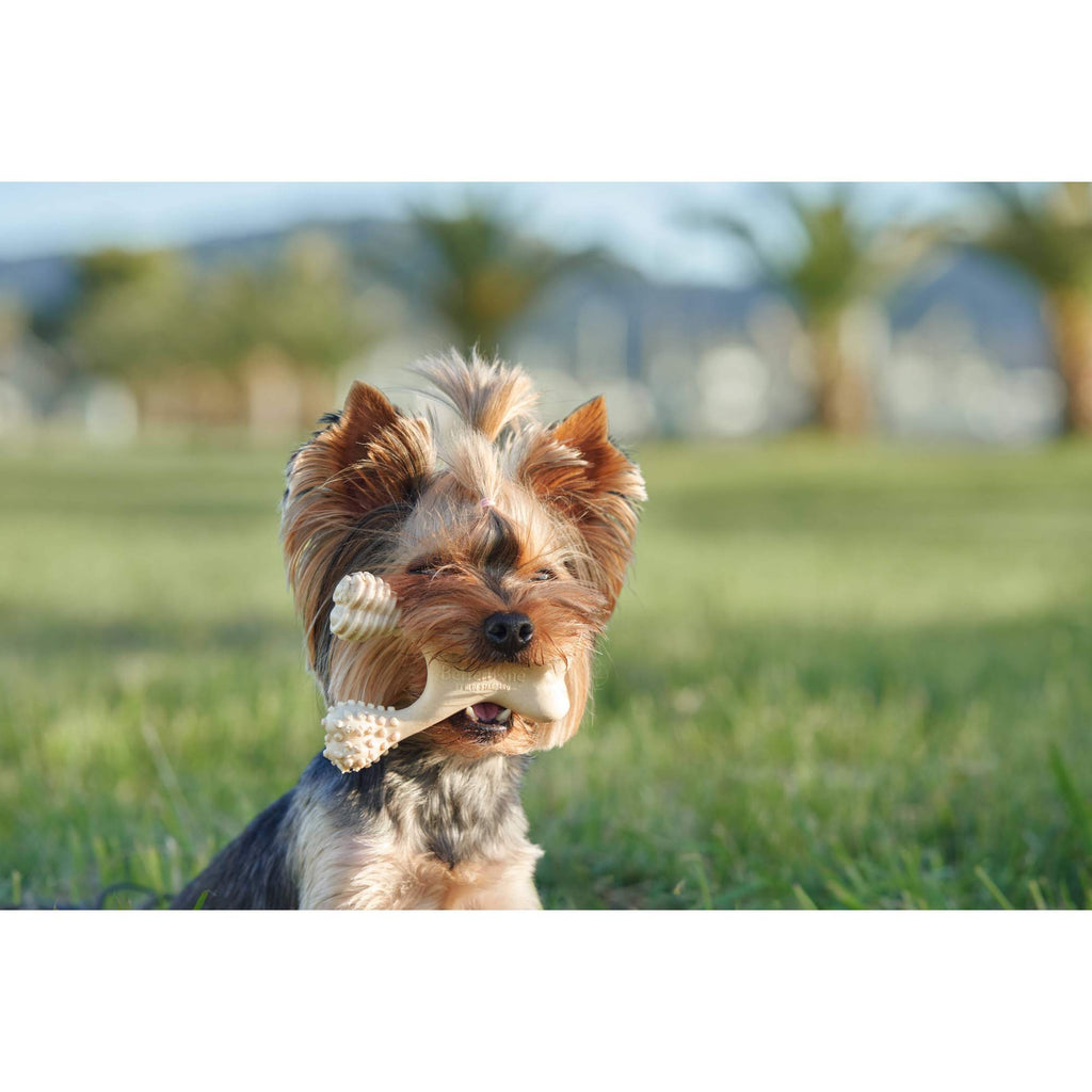BetterBone HARD Dog Chew Toy – Natural, Eco?Friendly & Ultra?Durable – Dog Toys | Doggo Dream Shop