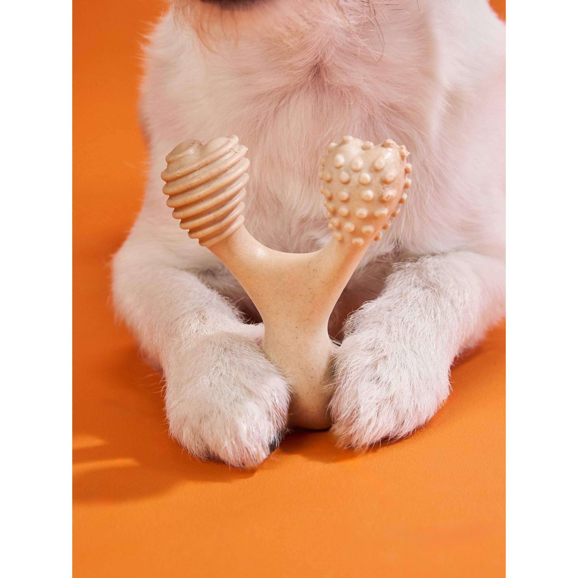 BetterBone HARD Dog Chew Toy – Natural, Eco?Friendly & Ultra?Durable – Dog Toys | Doggo Dream Shop