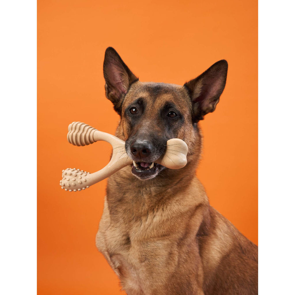 BetterBone HARD Dog Chew Toy – Natural, Eco?Friendly & Ultra?Durable – Dog Toys | Doggo Dream Shop