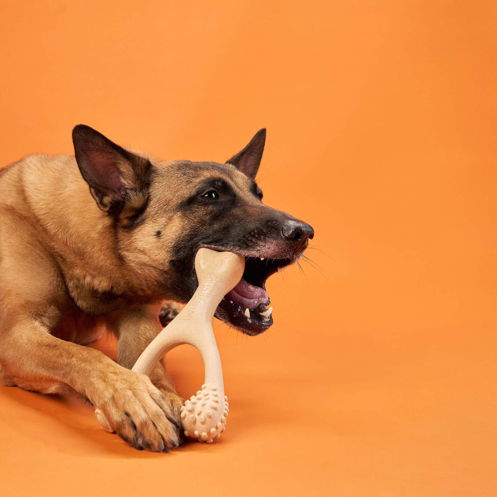 BetterBone HARD Dog Chew Toy – Natural, Eco?Friendly & Ultra?Durable – Dog Toys | Doggo Dream Shop