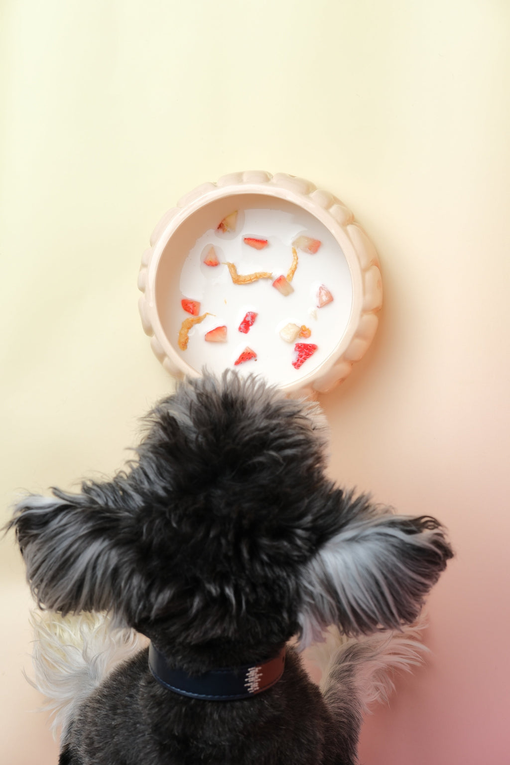 Puff Ceramic Dog Bowl – Gradient Caramel