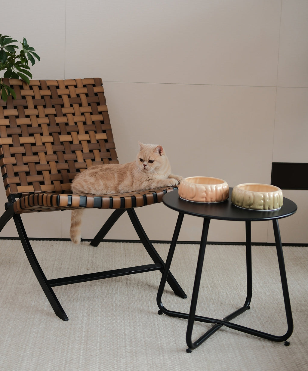 Puff Ceramic Dog Bowl – Gradient Caramel