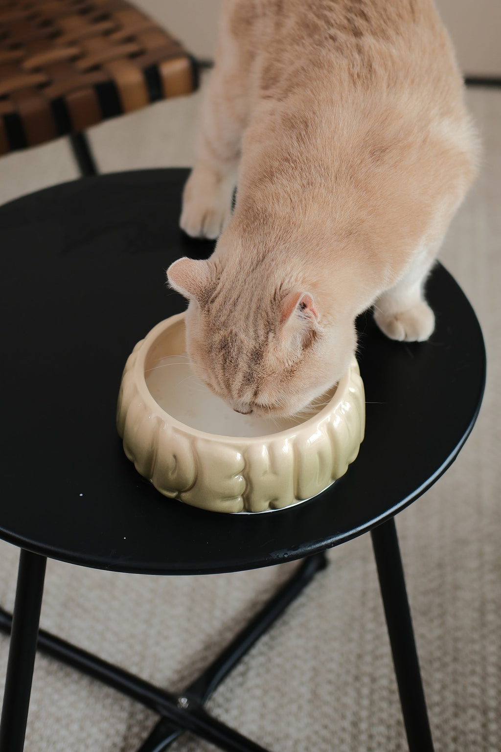 Puff Ceramic Dog Bowl – Gradient Olive