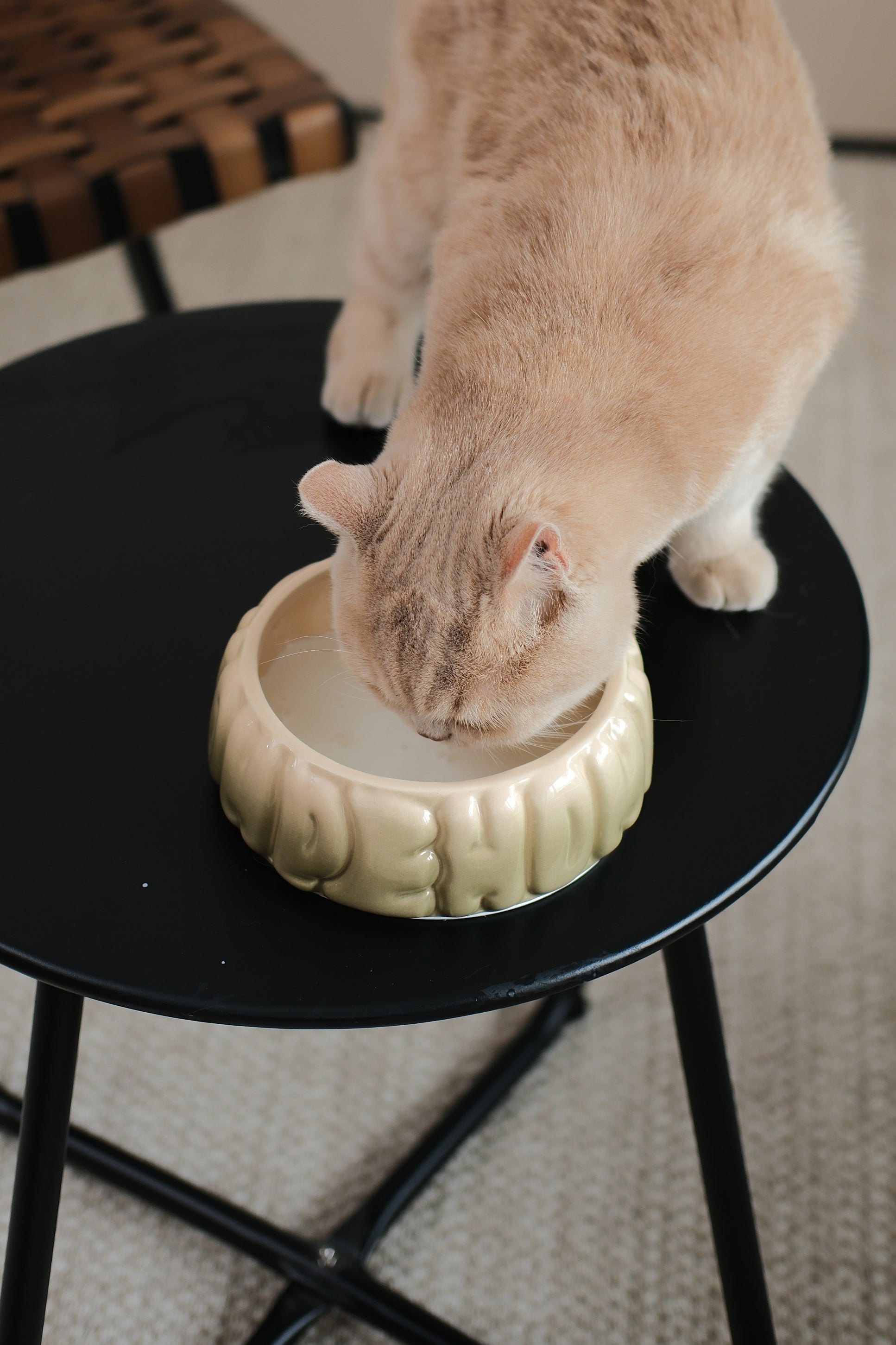 Puff Ceramic Dog Bowl – Gradient Olive
