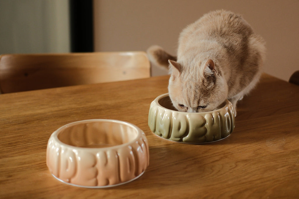 Puff Ceramic Dog Bowl – Gradient Caramel