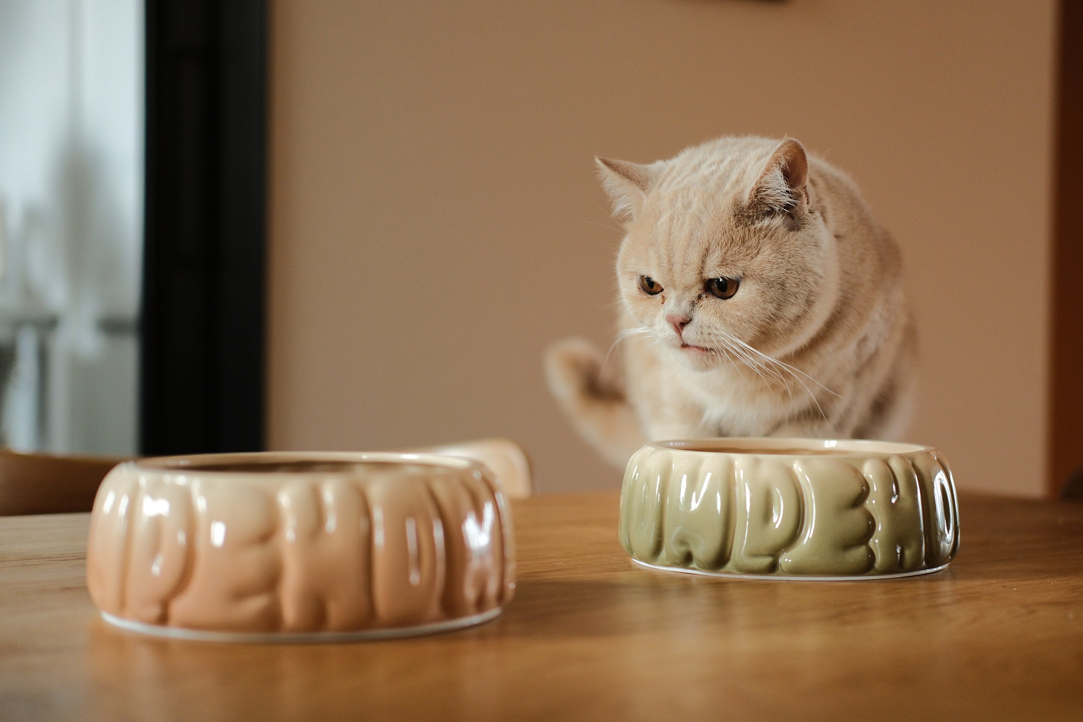 Puff Ceramic Dog Bowl – Gradient Caramel