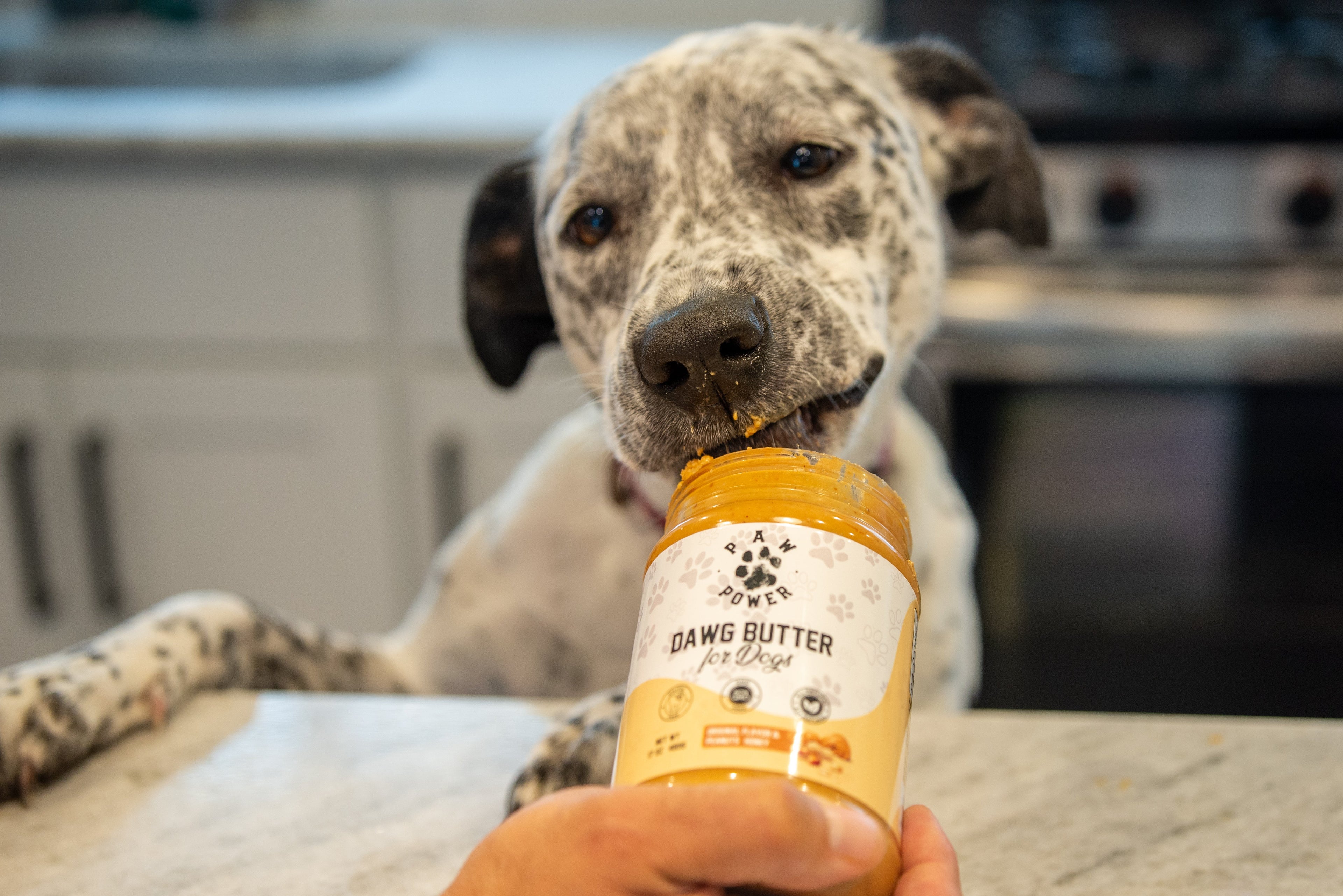 Dawg Butter Original – Dog-Safe Peanut Butter with Honey | Paw Power Nutrition