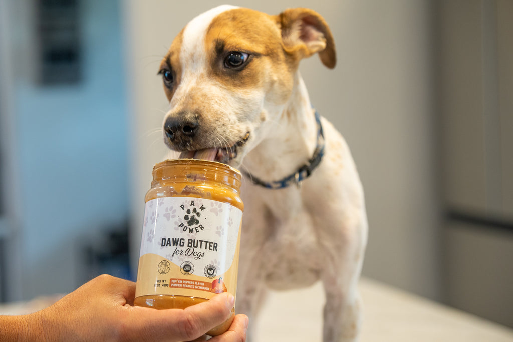 Dawg Butter Pum'kin Puppers – Pumpkin & Cinnamon Dog Peanut Butter | Paw Power Nutrition