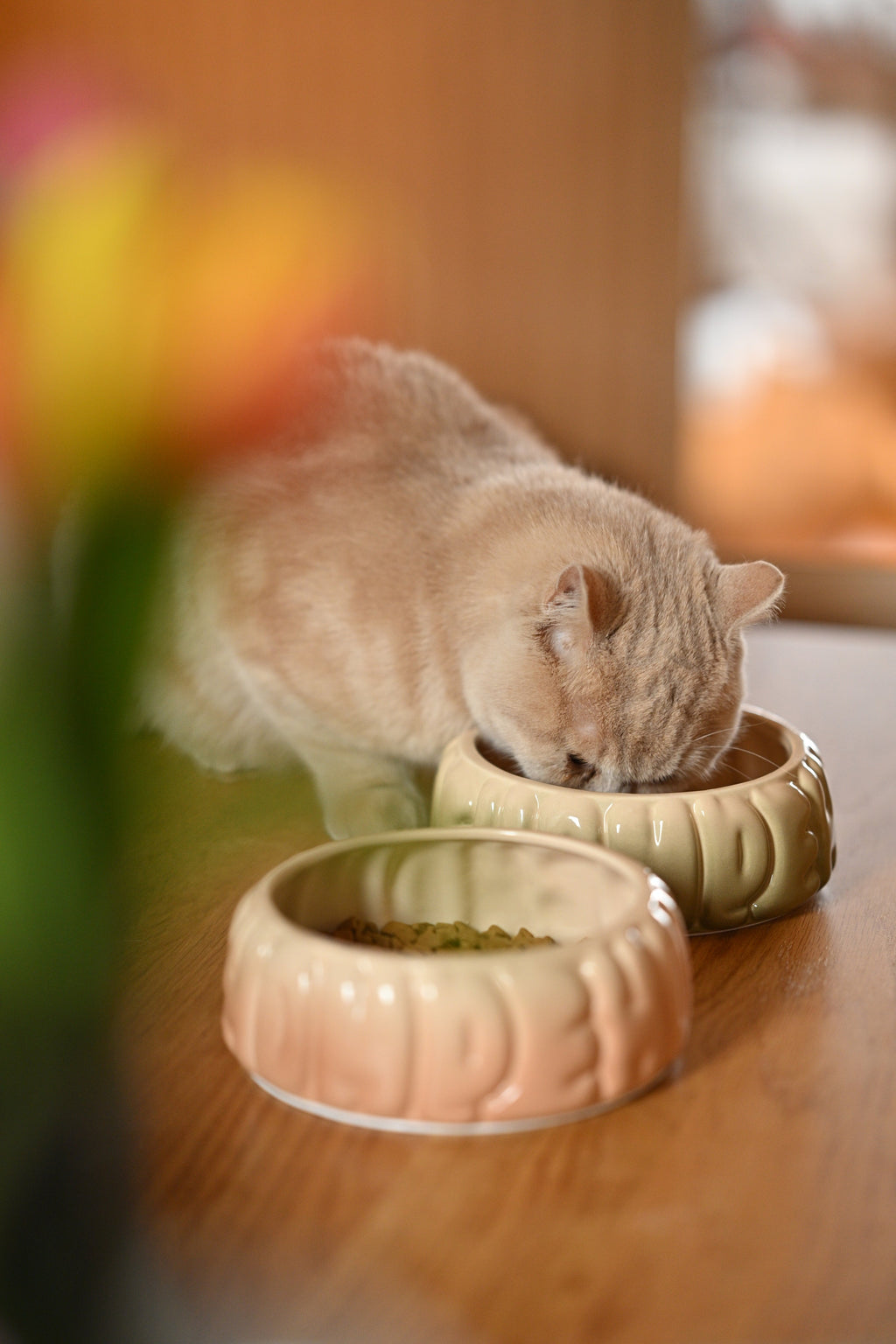 Puff Ceramic Dog Bowl – Gradient Olive