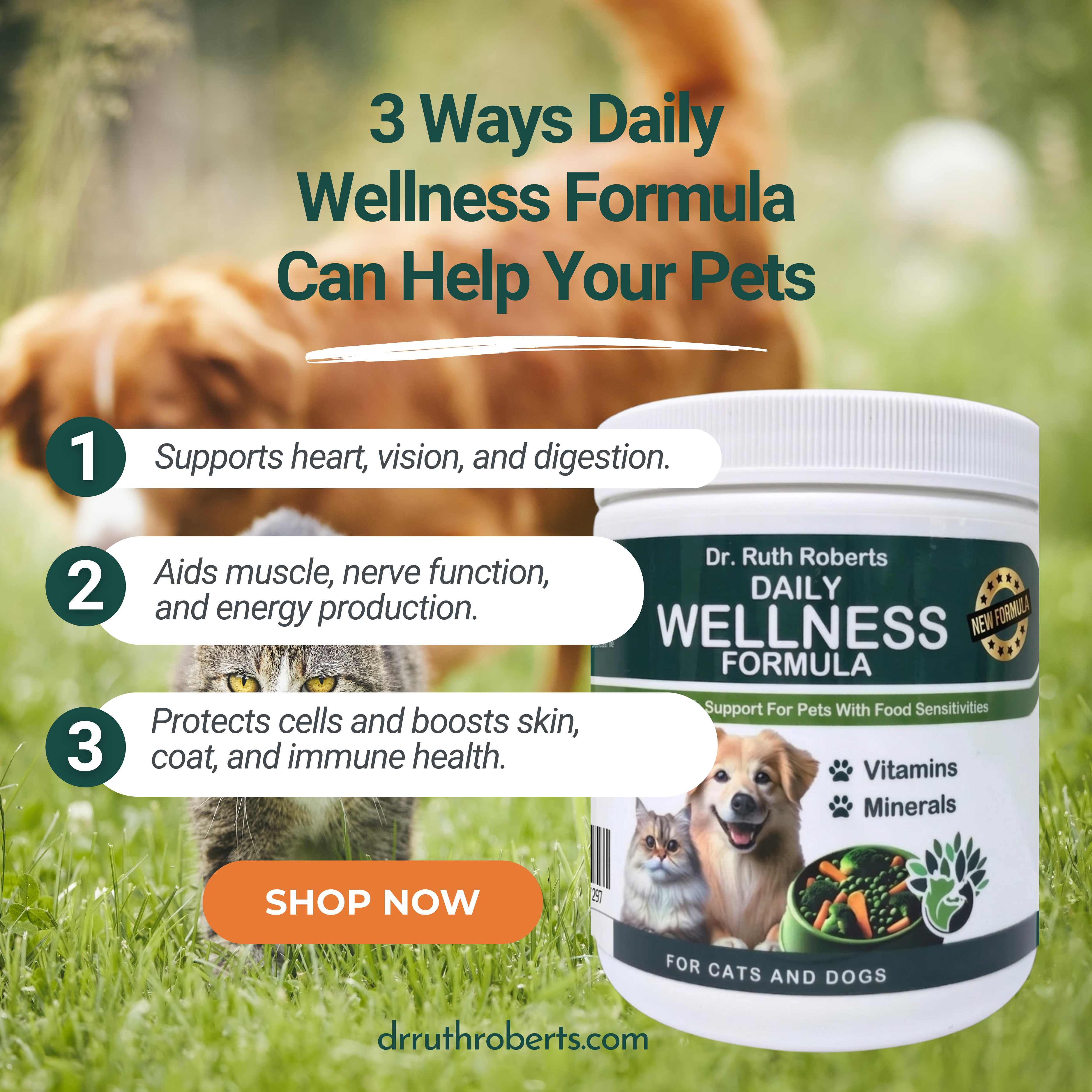Pet's Daily Wellness Formula – Glandular-Free Daily Multivitamin for Dogs & Cats | Dr. Ruth Roberts