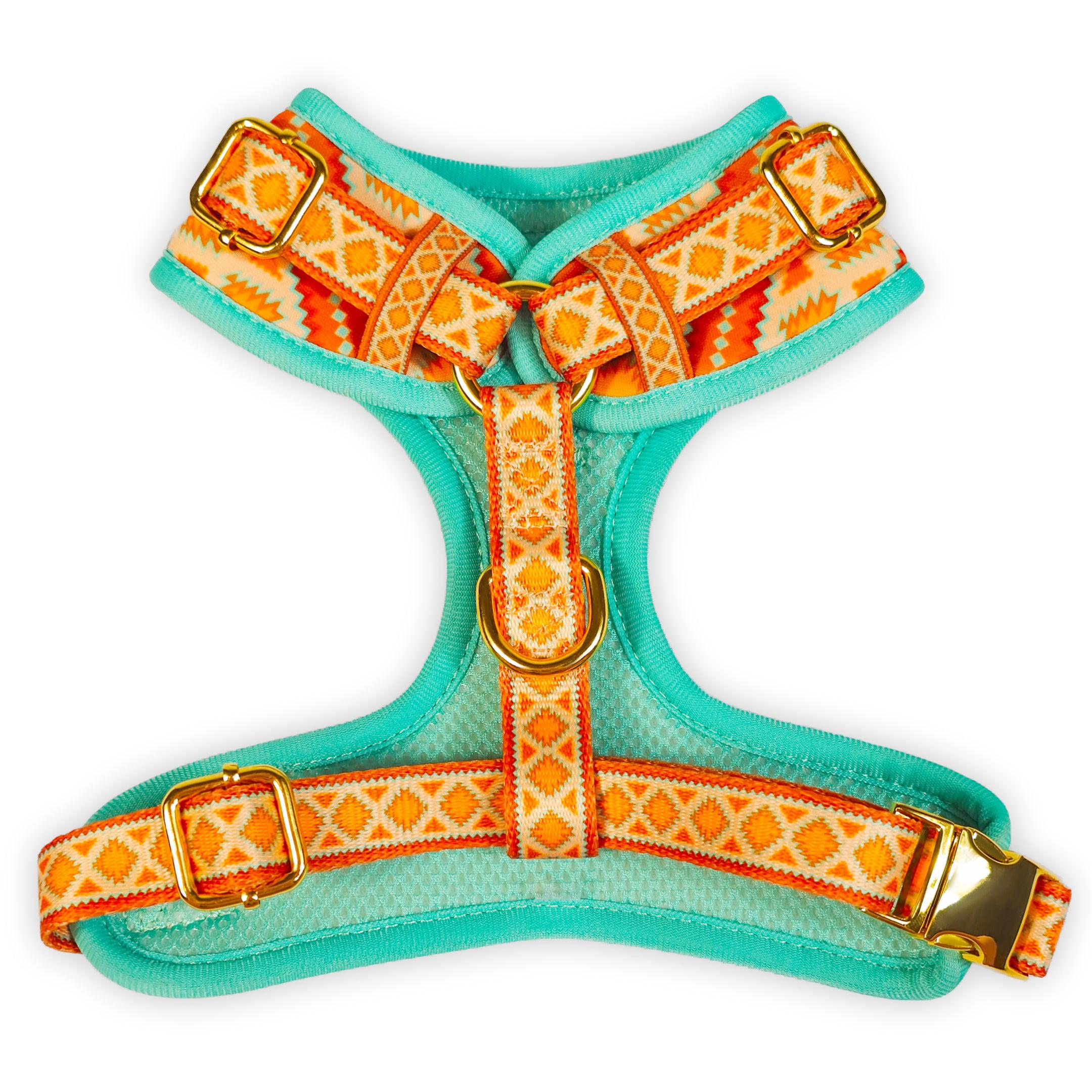 Desert Dream Harness – Harnesses | Doggo Dream Shop