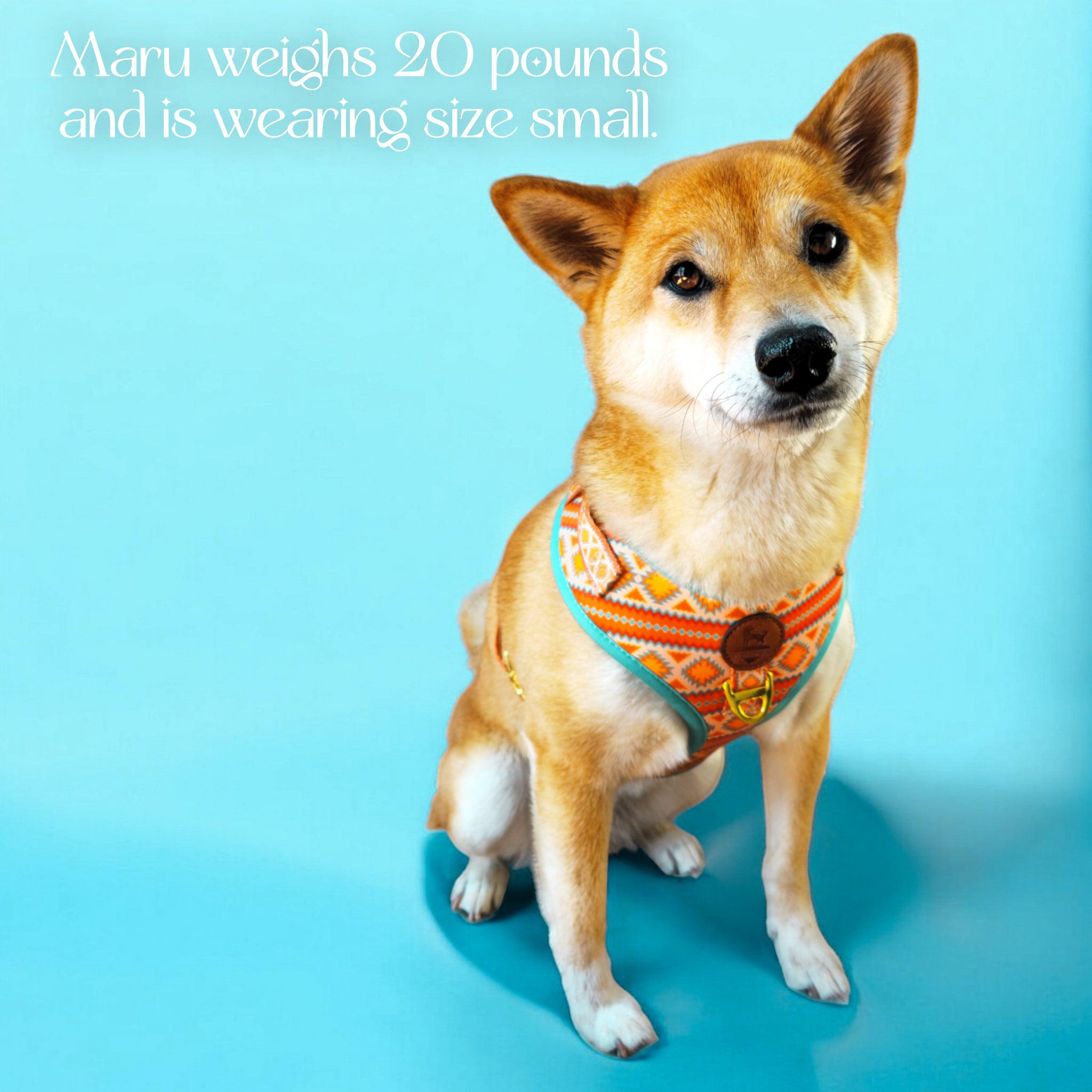 Desert Dream Harness – Harnesses | Doggo Dream Shop
