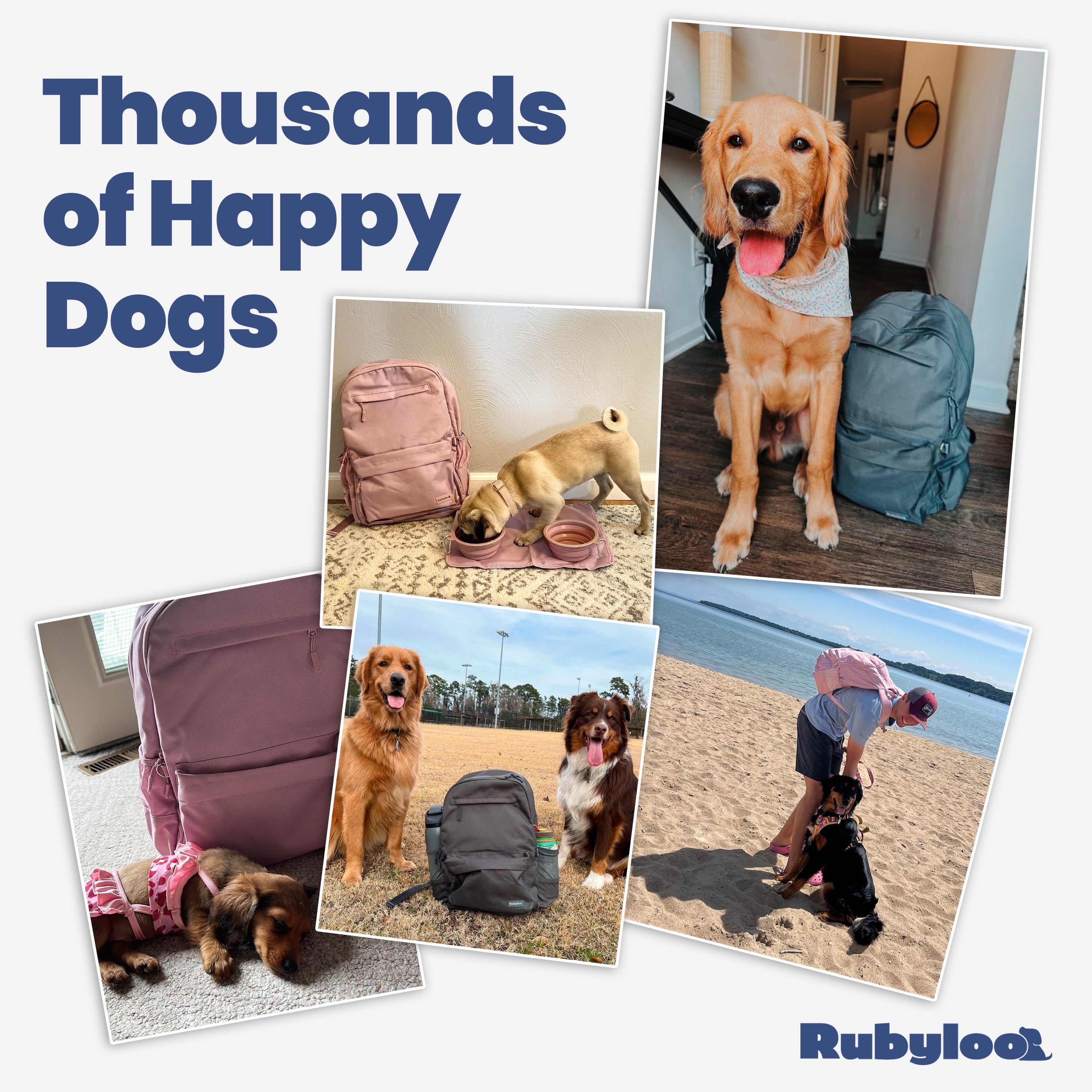The Original Doggy Bag™ Backpack – Dog Travel Backpack with Bowls & Storage | Rubyloo