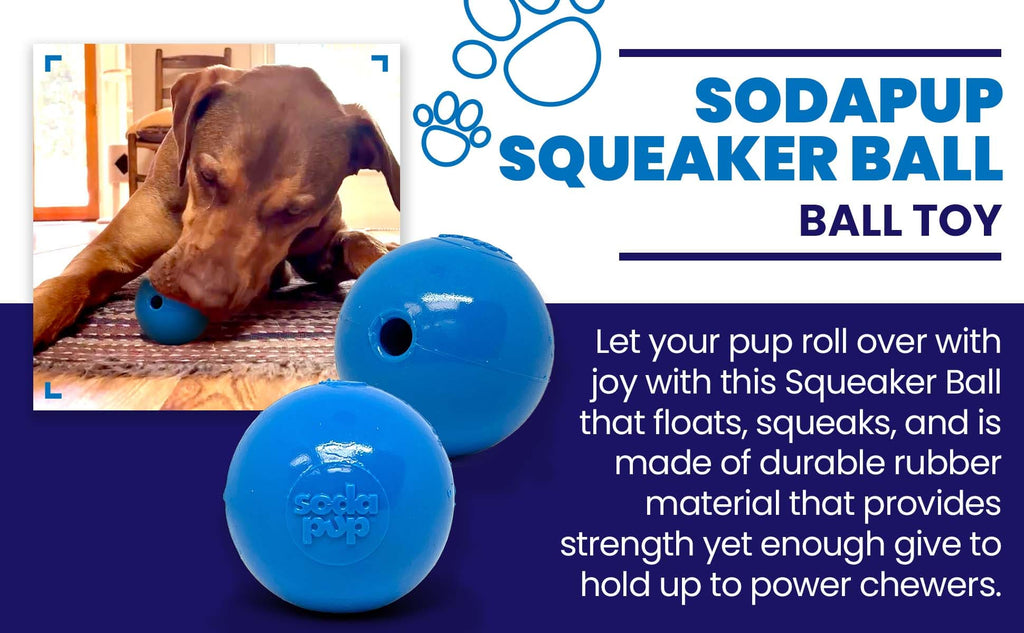 Squeak Ball – Durable Squeaky Dog Toy That Floats | USA Made
