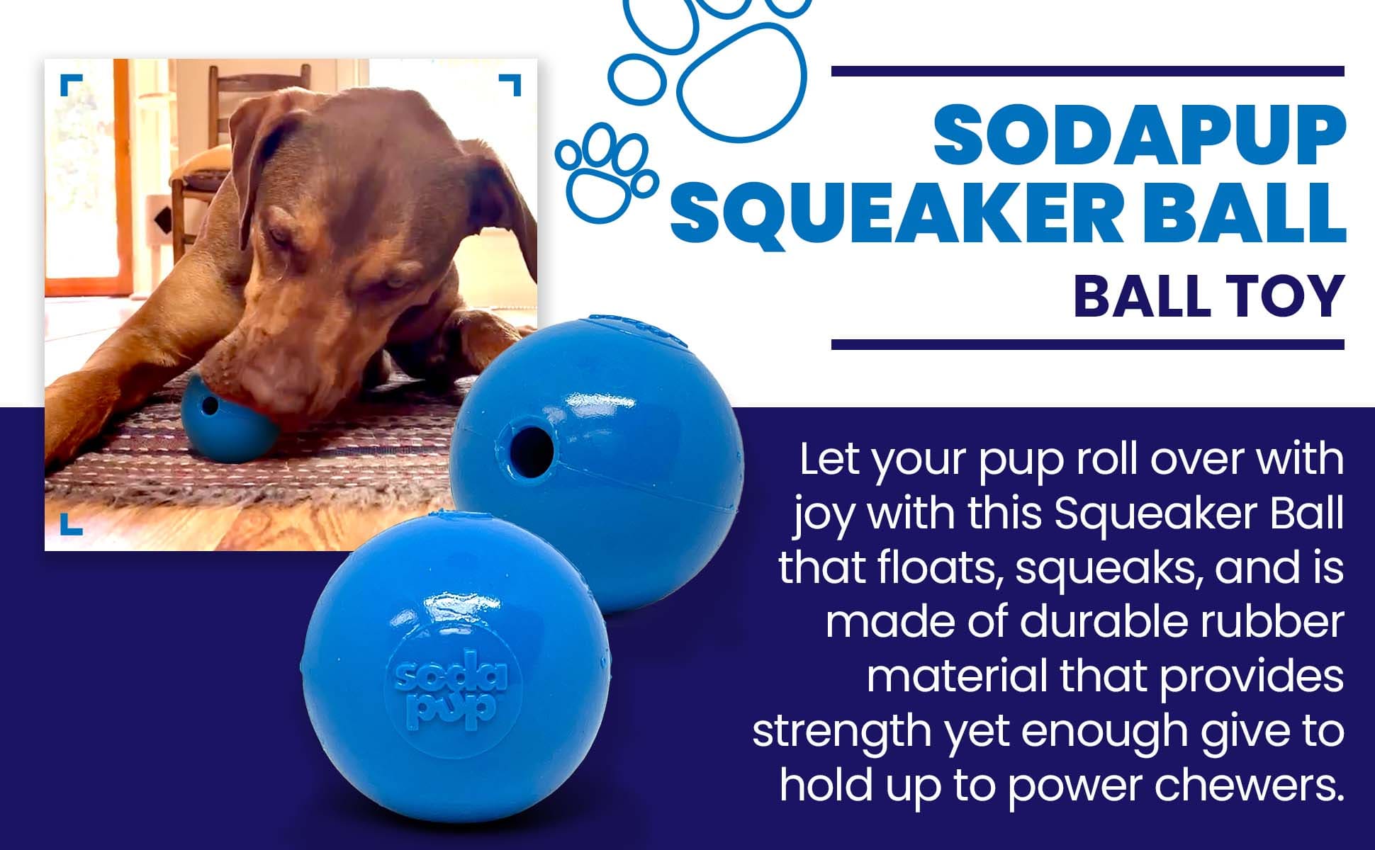 Squeak Ball – Durable Squeaky Dog Toy That Floats | USA Made