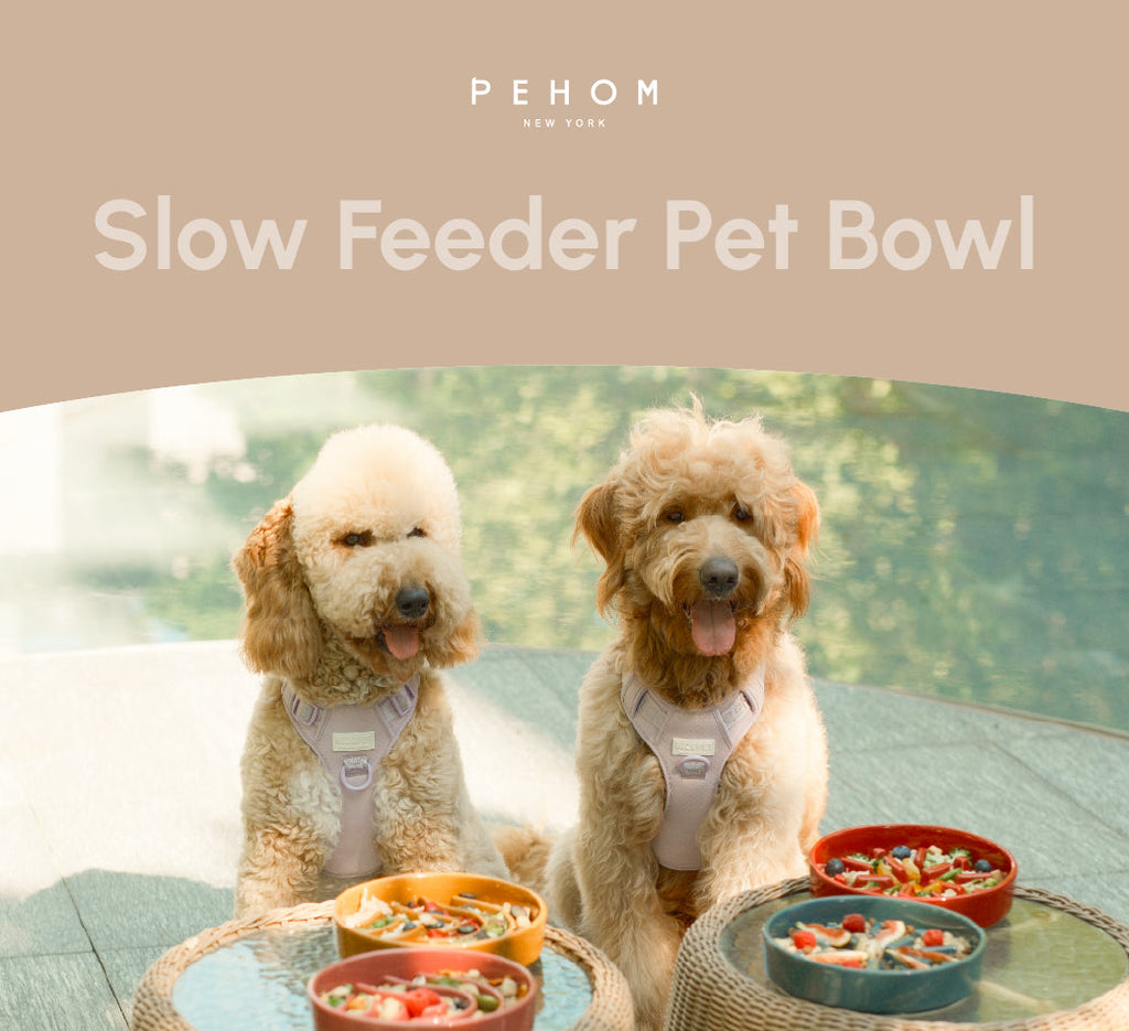 Wave Slow Feeder Dog Bowl – Ceramic, Non-Slip, Optional Wood Stand