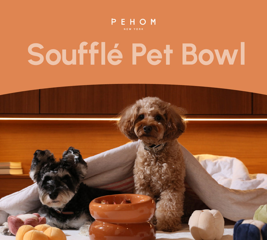 Soufflé Ceramic Dog Bowl – Amber Orange