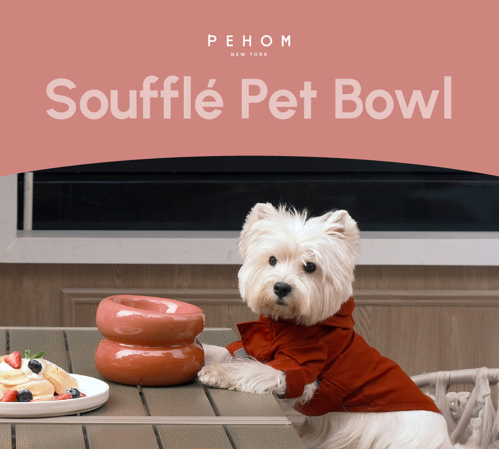 Soufflé Ceramic Dog Bowl – Rose Pink