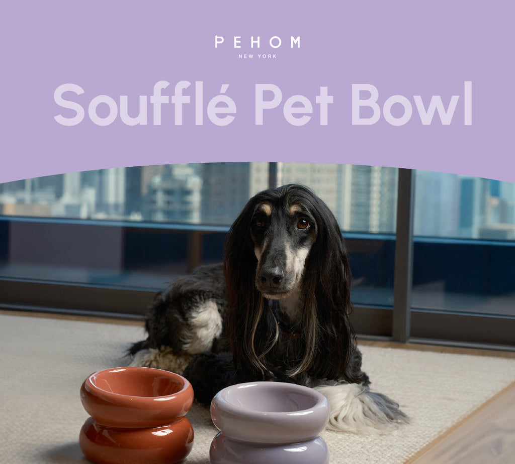 Soufflé Ceramic Dog Bowl – Purple