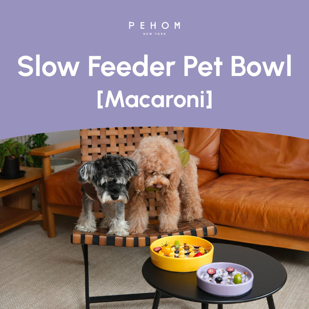 Macaroni Slow Feeder Dog Bowl – Ceramic, Non-Slip, Optional Wood Stand