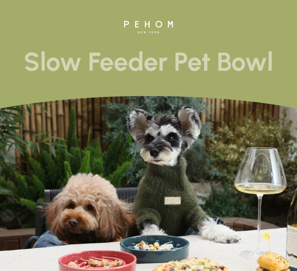 Spark Slow Feeder Dog Bowl – Ceramic, Non-Slip, Optional Wood Stand