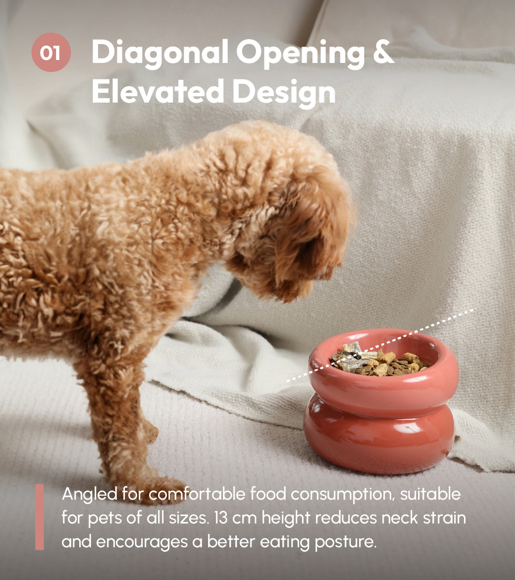 Soufflé Ceramic Dog Bowl – Rose Pink