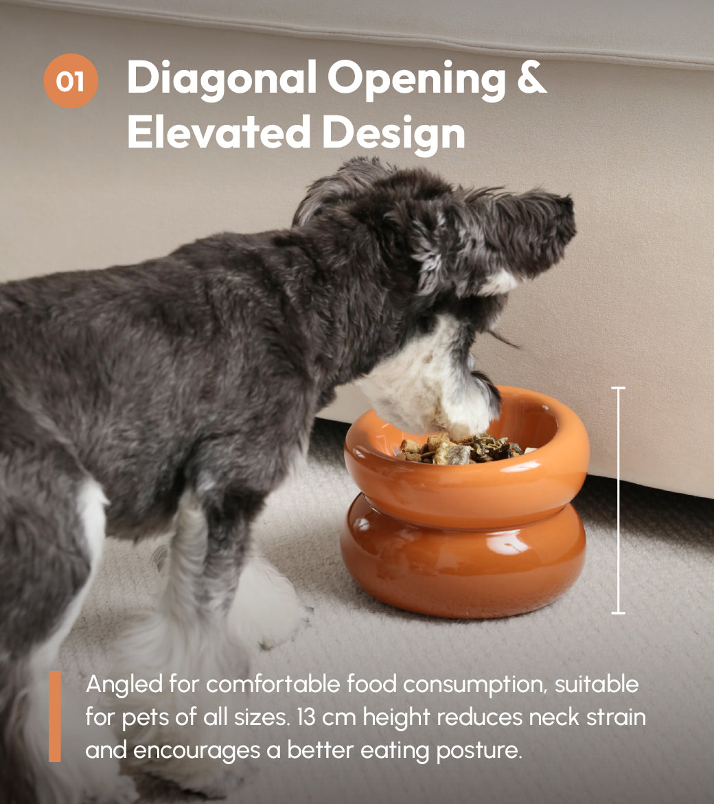 Soufflé Ceramic Dog Bowl – Amber Orange