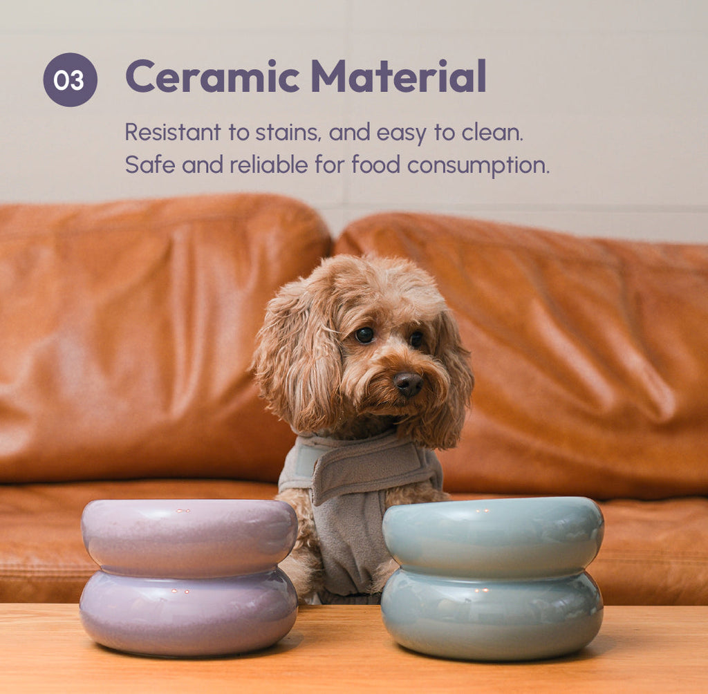 Soufflé Ceramic Dog Bowl – Purple