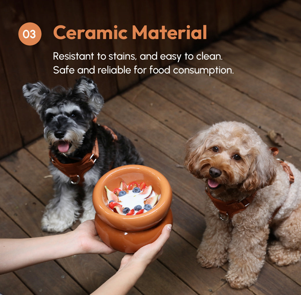 Soufflé Ceramic Dog Bowl – Amber Orange