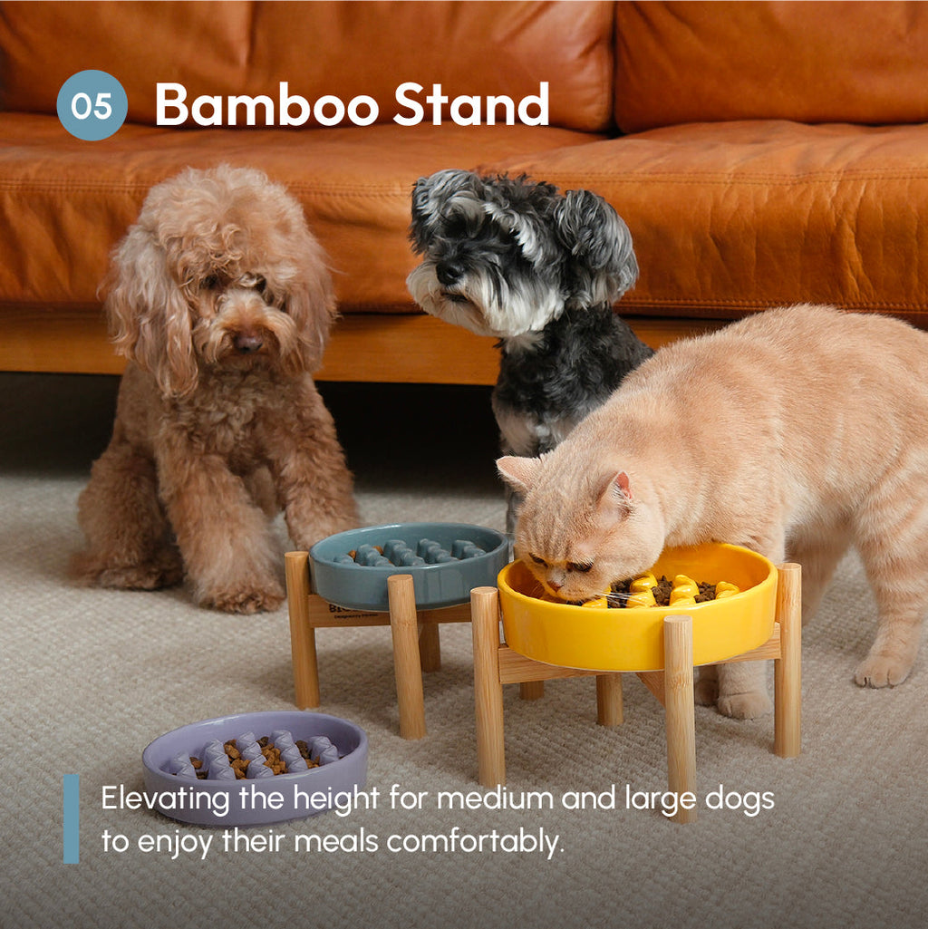Macaroni Slow Feeder Dog Bowl – Ceramic, Non-Slip, Optional Wood Stand