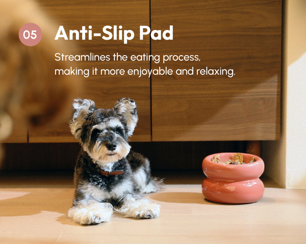 Soufflé Ceramic Dog Bowl – Rose Pink