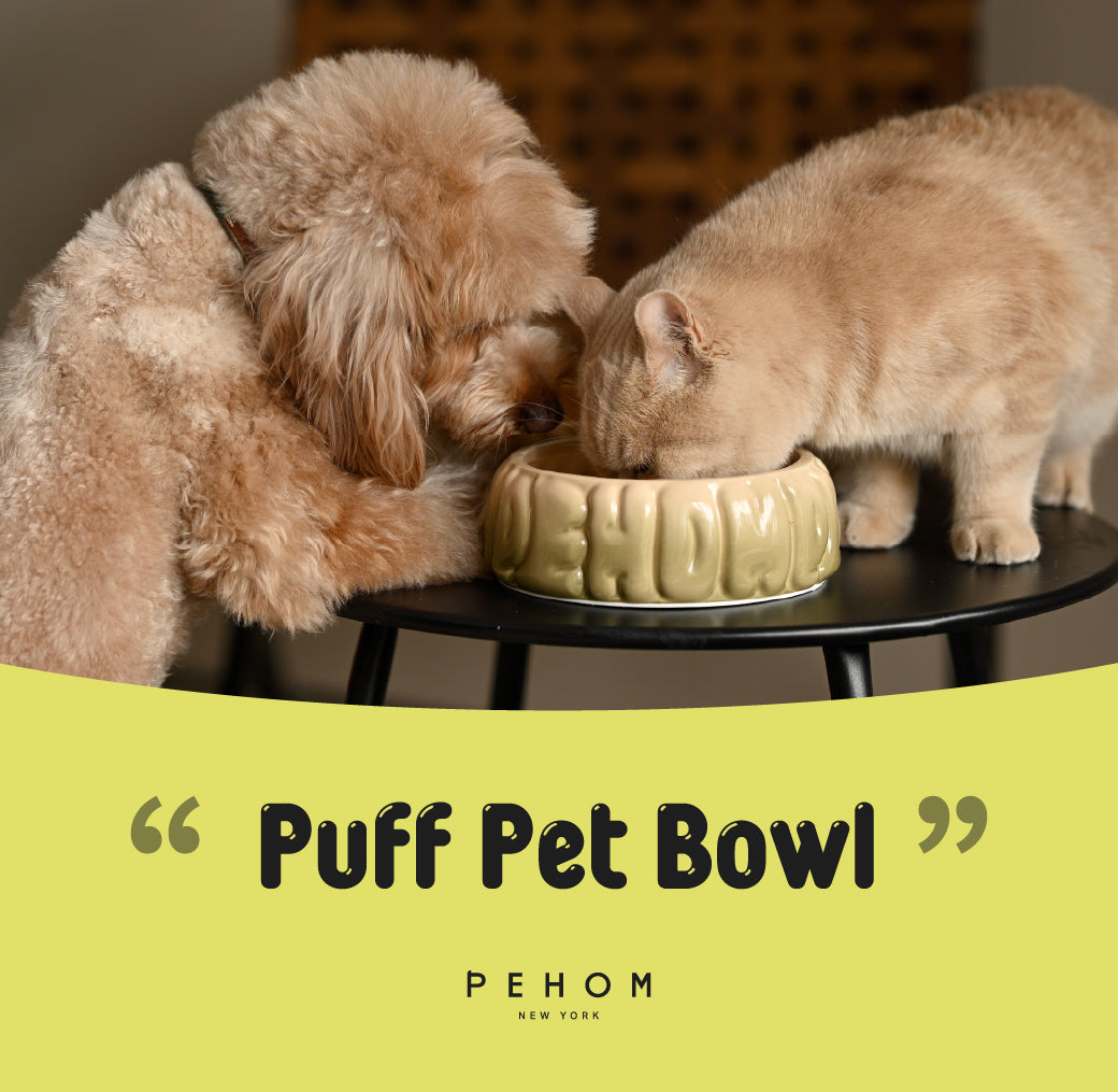 Puff Ceramic Dog Bowl – Gradient Olive