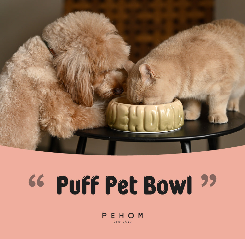Puff Ceramic Dog Bowl – Gradient Caramel