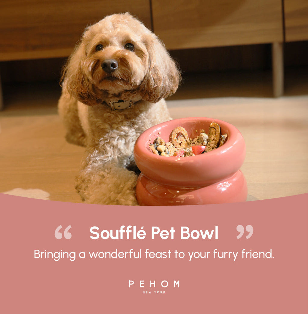 Soufflé Ceramic Dog Bowl – Rose Pink