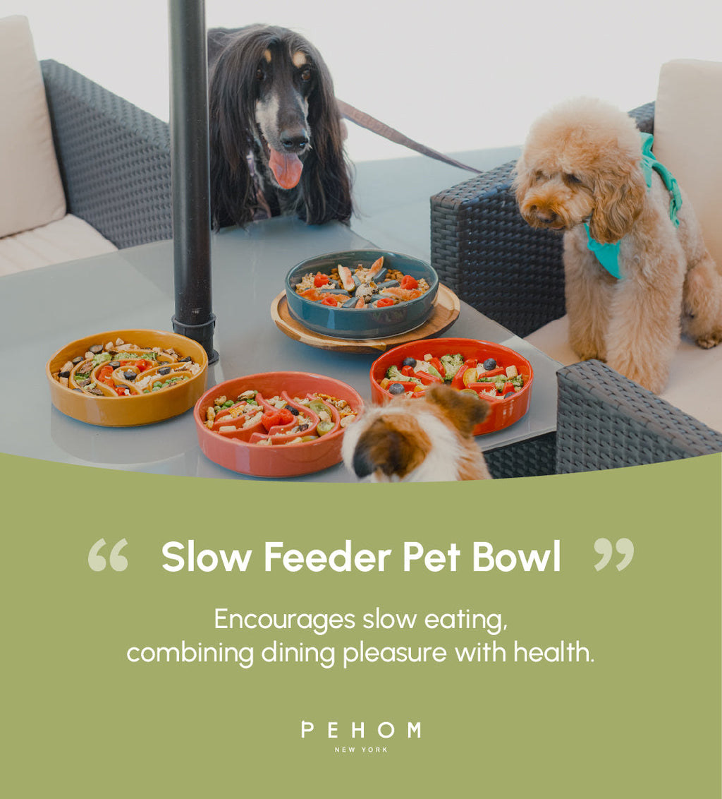 Spark Slow Feeder Dog Bowl – Ceramic, Non-Slip, Optional Wood Stand