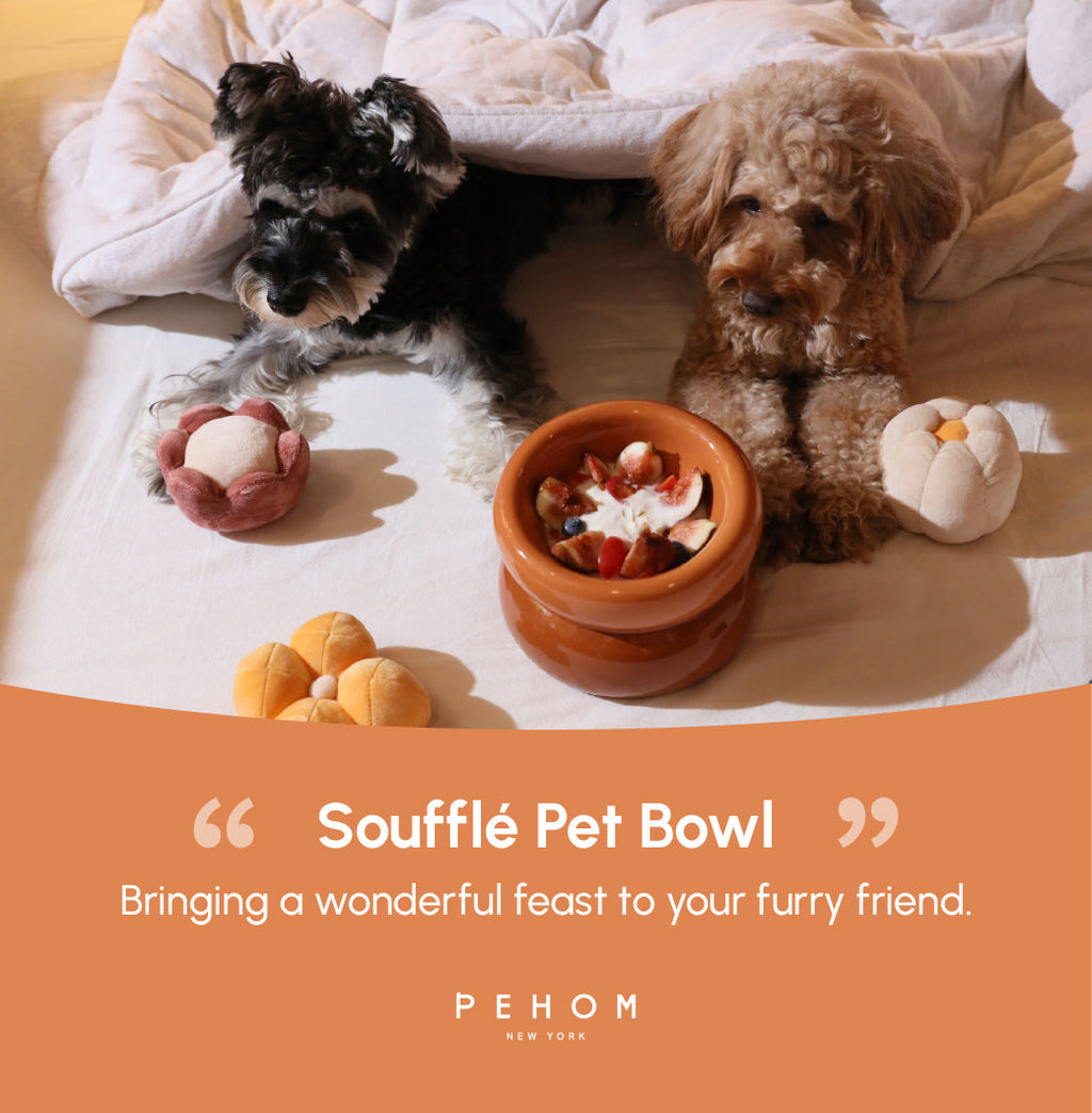 Soufflé Ceramic Dog Bowl – Amber Orange