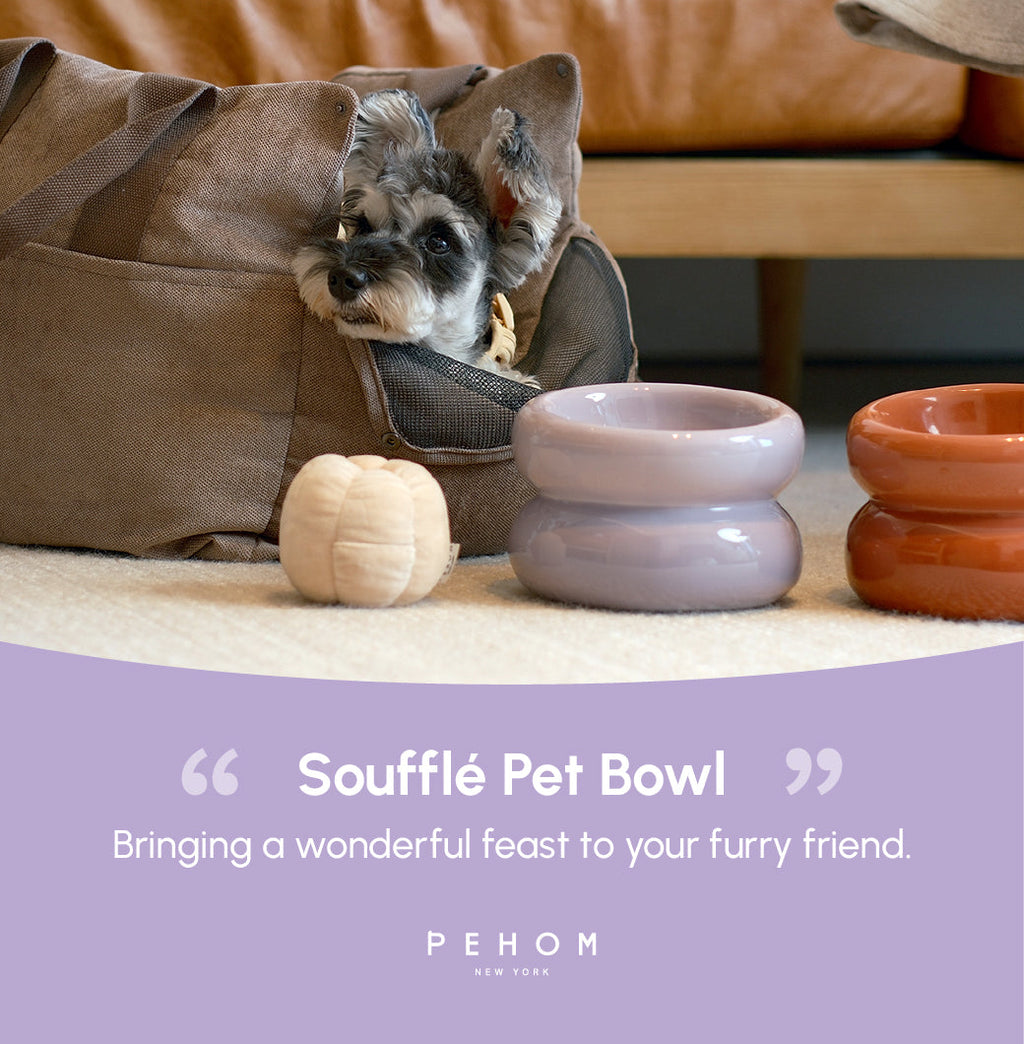 Soufflé Ceramic Dog Bowl – Purple