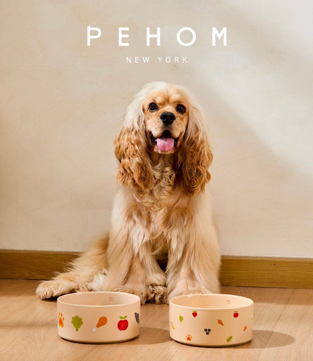 Nomnom Ceramic Dog Bowl – Food-Grade Stoneware, Non-Slip, Dishwasher Safe