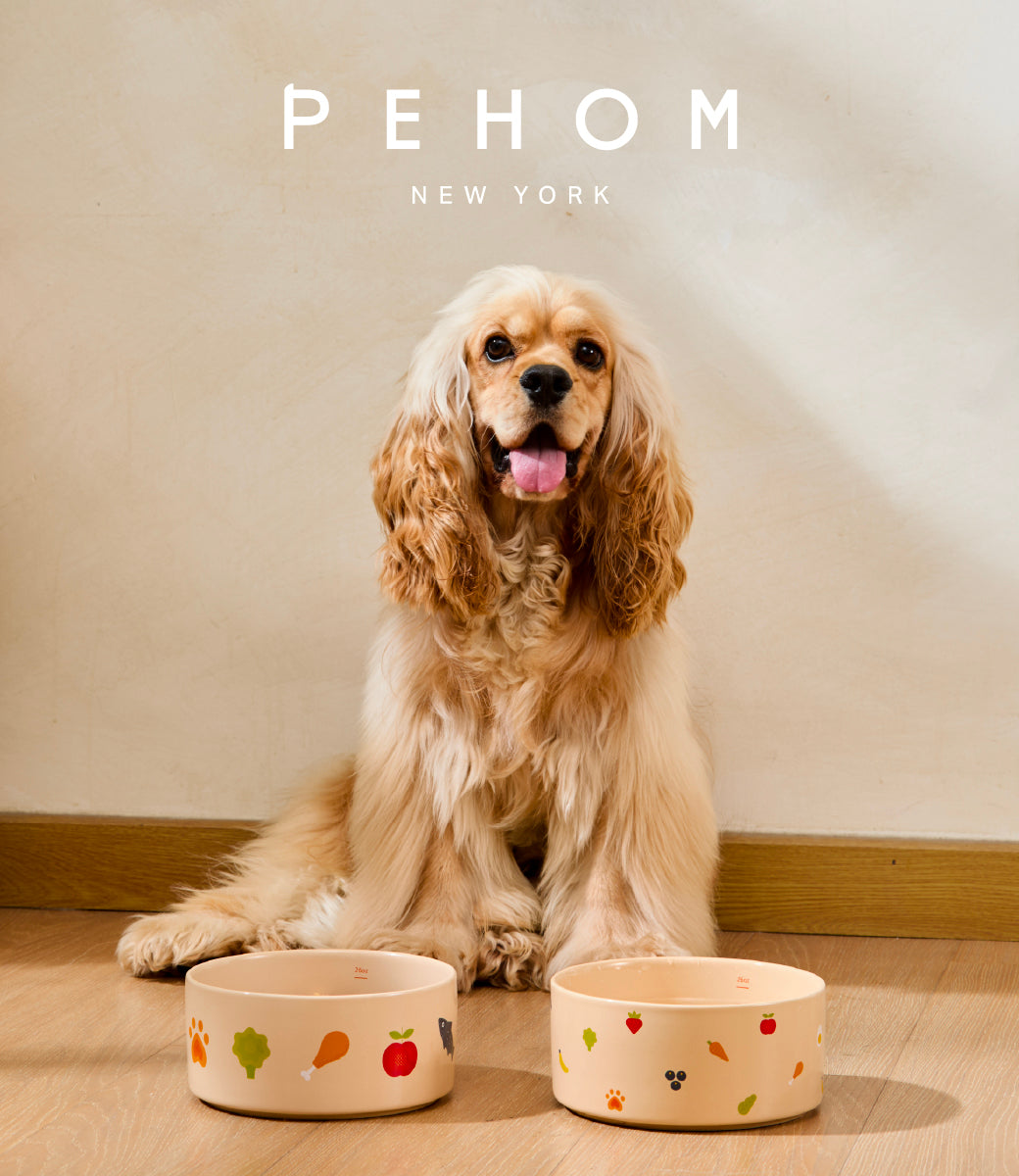 Nomnom Ceramic Dog Bowl – Food-Grade Stoneware, Non-Slip, Dishwasher Safe