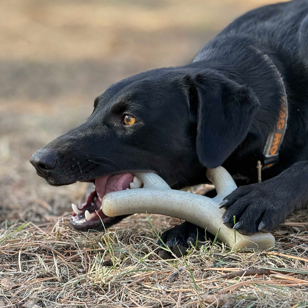 Ever Antler Nylon Chew Bone – Elk Antler Dog Toy for Aggressive Chewers | USA Made