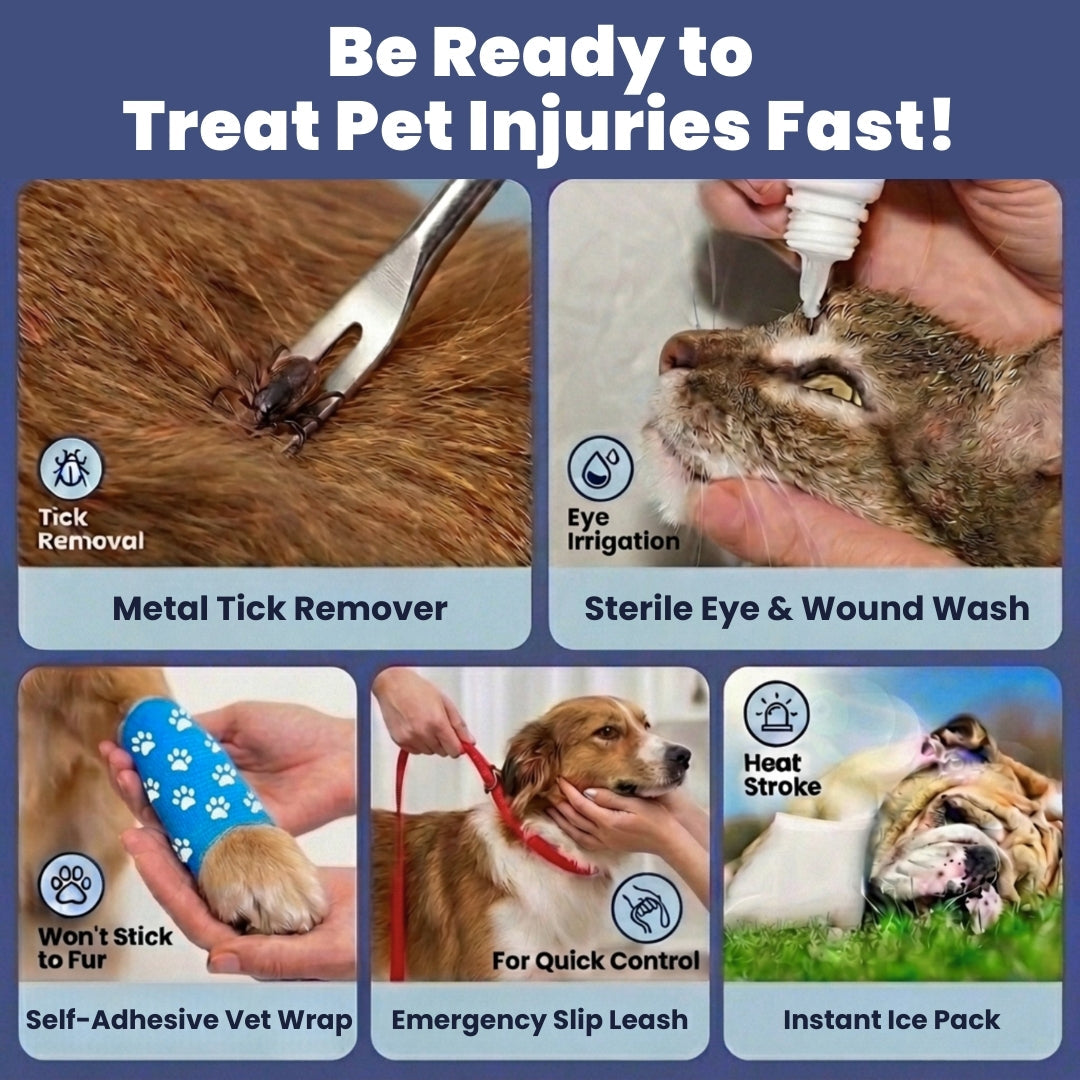 Pet First Aid Kit for Dogs & Cats – Vet-Approved Essentials | Rubyloo