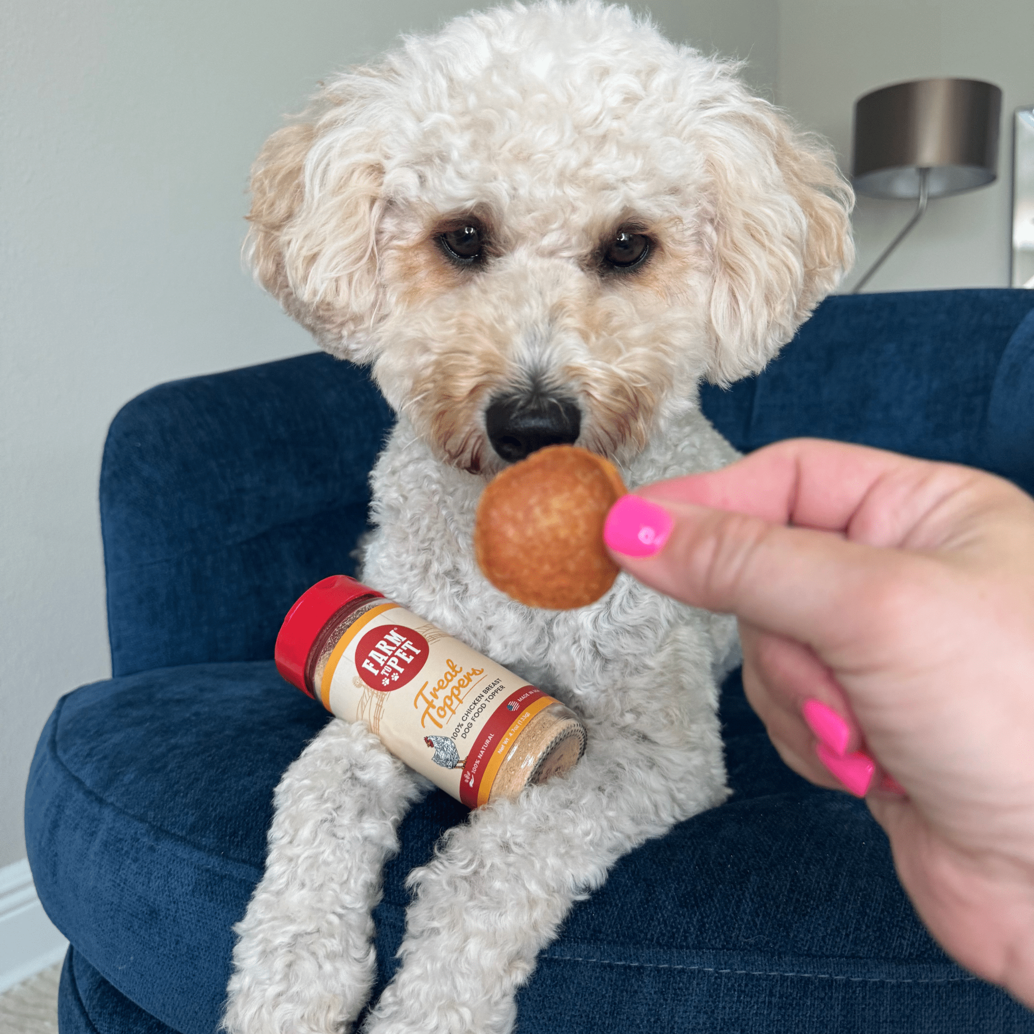 Treat Topper Chicken Dog Food Topper | Healthy Meal Supplement for Dogs