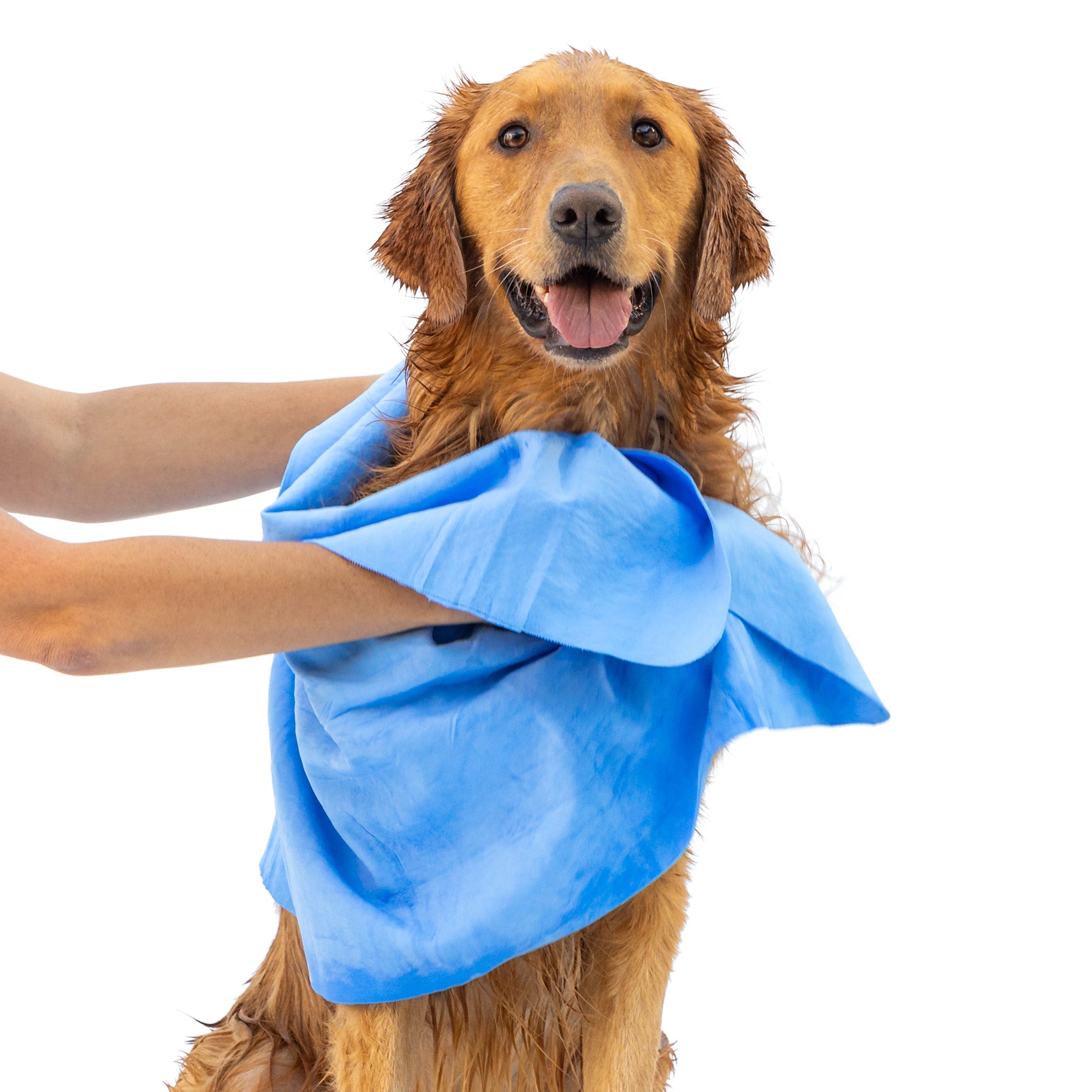 Dog Drying Shammy Towel – Dries 2x Faster Than Cotton | Rubyloo