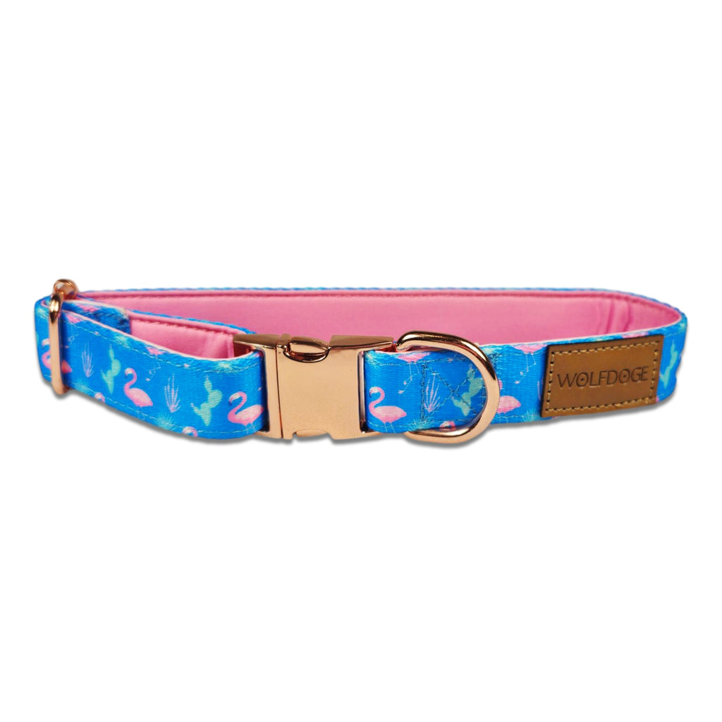 Wolfdoge Flamingo Fiesta Dog Collar – Collars | Doggo Dream Shop