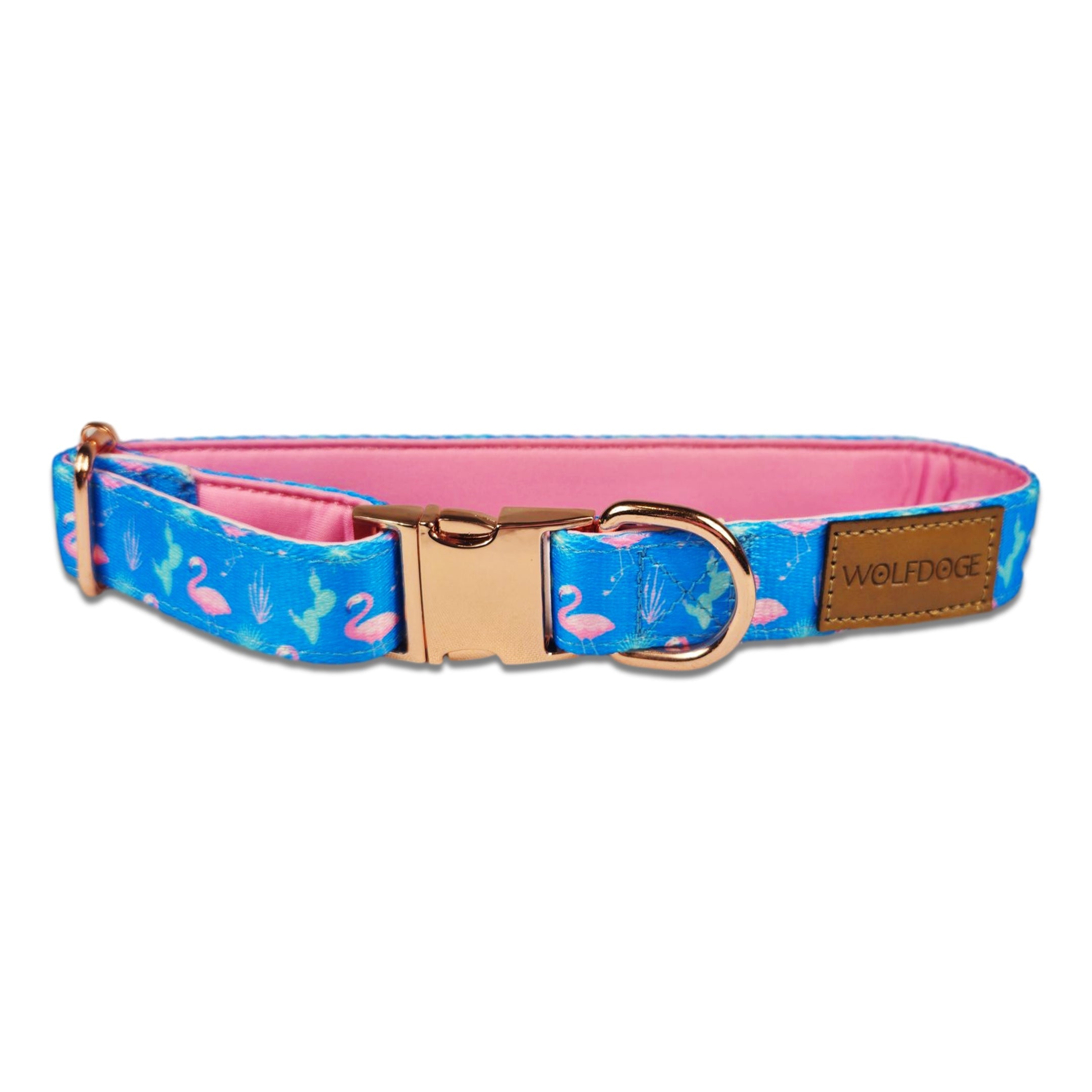 Wolfdoge Flamingo Fiesta Dog Collar – Collars | Doggo Dream Shop
